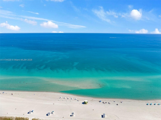 water view with a view of the beach