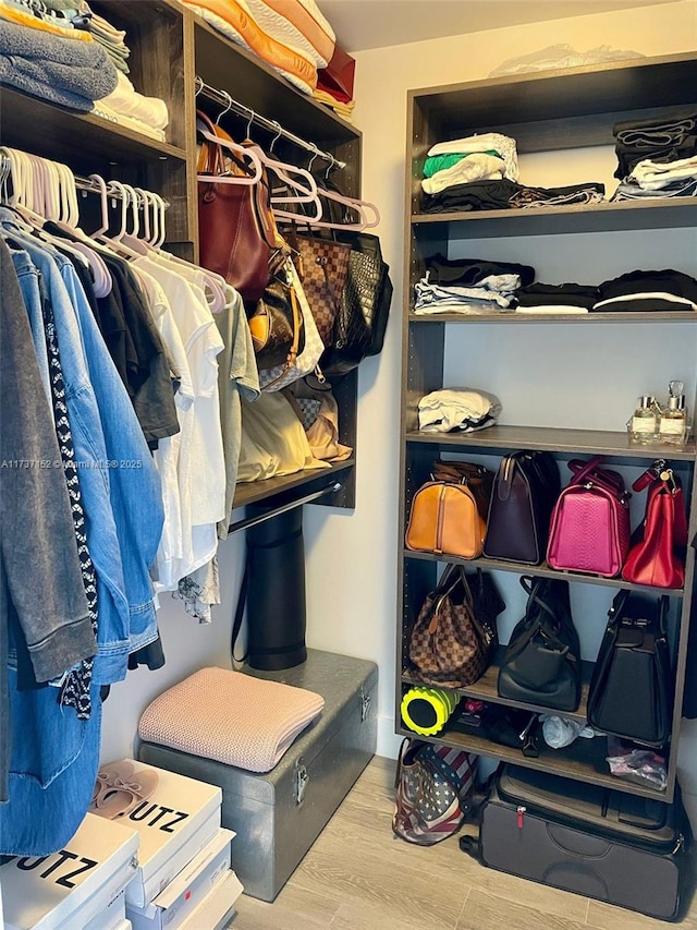 walk in closet featuring wood-type flooring