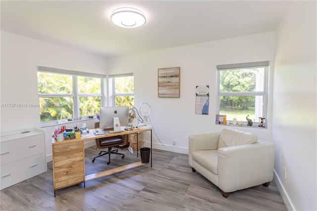 home office featuring hardwood / wood-style flooring