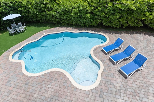 view of swimming pool featuring a yard and a patio area