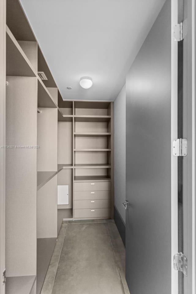 view of spacious closet