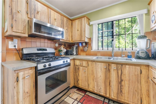 kitchen with stainless steel appliances, tasteful backsplash, sink, and ornamental molding