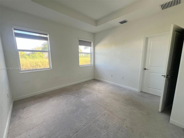 empty room featuring light carpet and a raised ceiling