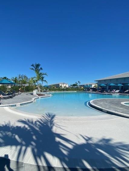 view of pool featuring a patio area