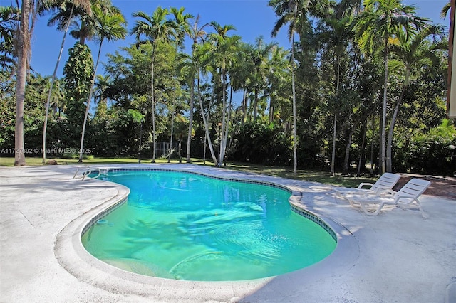 14135 N Miami Ave, Miami, FL 33168 - swimming pool with a patio area and view of wooded area