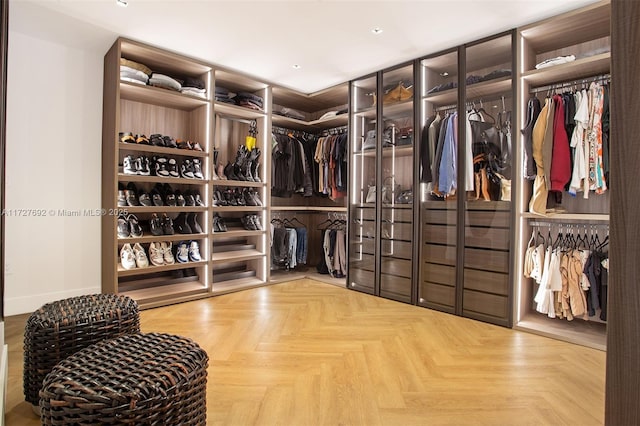 view of spacious closet