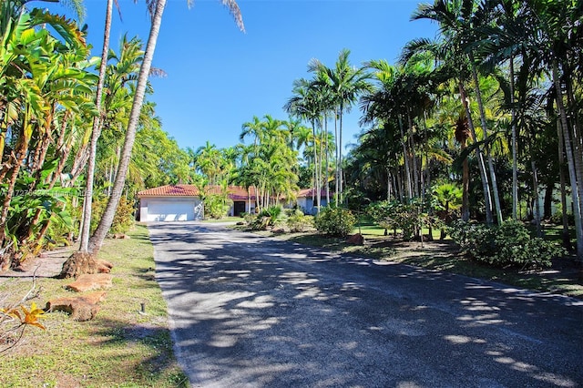 14135 N Miami Ave, Miami, FL 33168 - view of road
