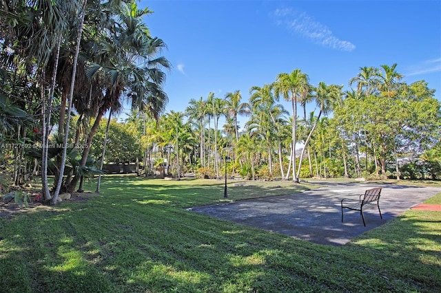 14135 N Miami Ave, Miami, FL 33168 - surrounding community with a lawn
