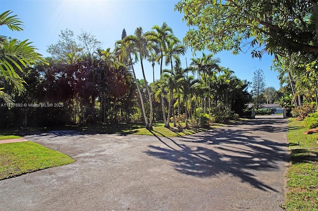 14135 N Miami Ave, Miami, FL 33168 - view of asphalt driveway