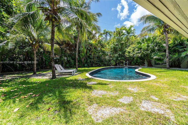 view of swimming pool featuring a yard