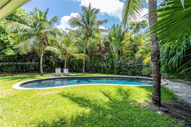 view of pool with a yard