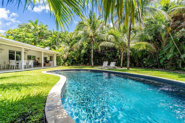 view of pool with a patio, a yard, and ceiling fan