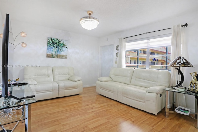 living room featuring hardwood / wood-style floors