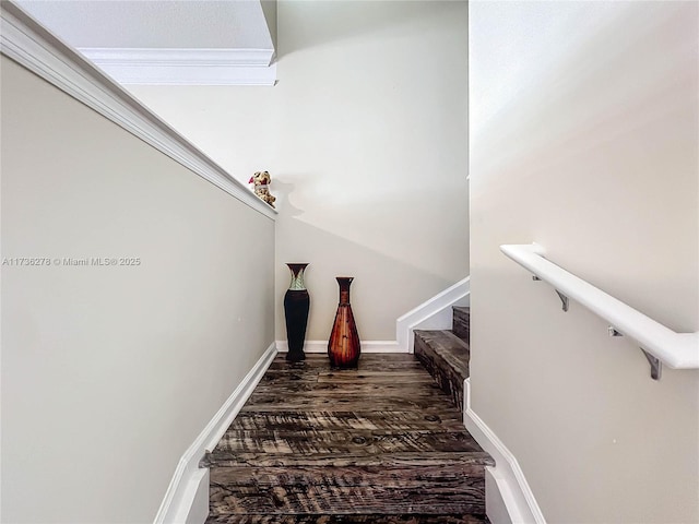 stairs featuring hardwood / wood-style flooring