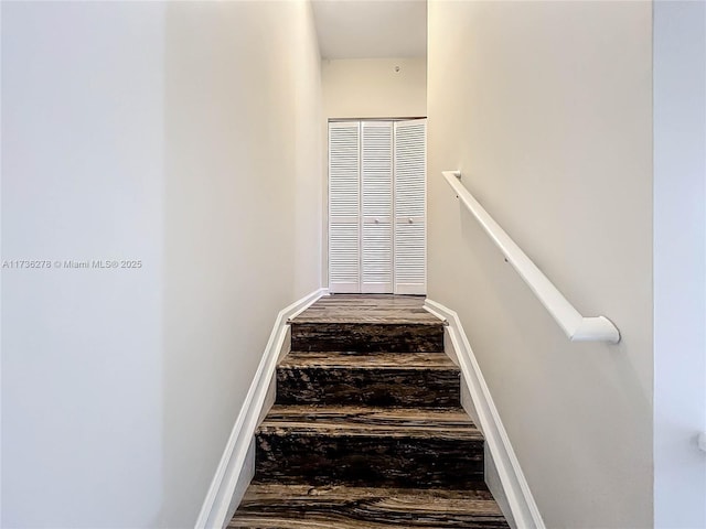 staircase featuring wood-type flooring