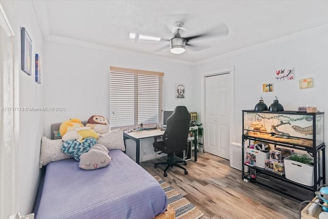 bedroom with hardwood / wood-style flooring, ornamental molding, and ceiling fan