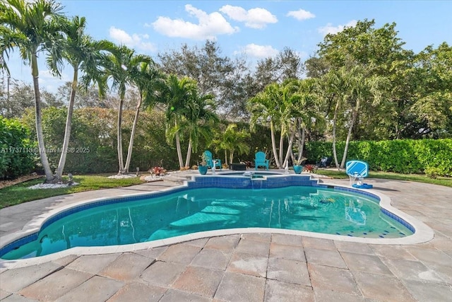 view of pool featuring a patio area and an in ground hot tub