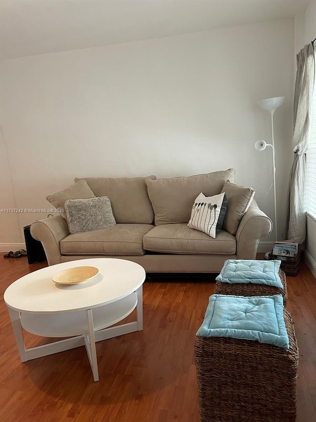 living room featuring wood-type flooring