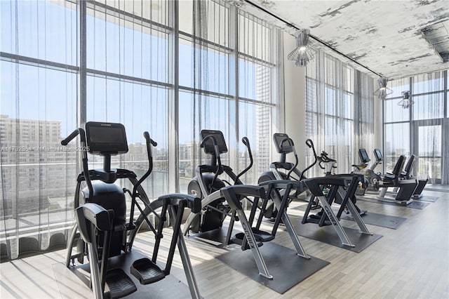 workout area with expansive windows, a high ceiling, and light wood-type flooring