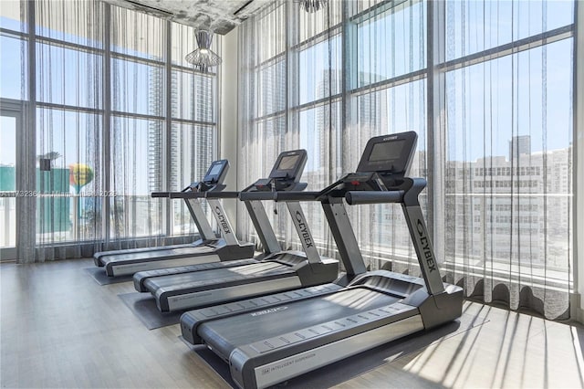 gym featuring floor to ceiling windows