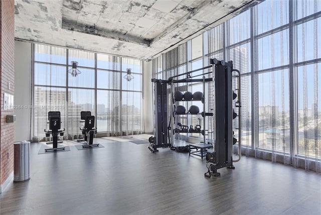 gym featuring expansive windows, wood-type flooring, and a towering ceiling