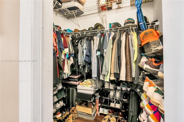 spacious closet featuring hardwood / wood-style floors