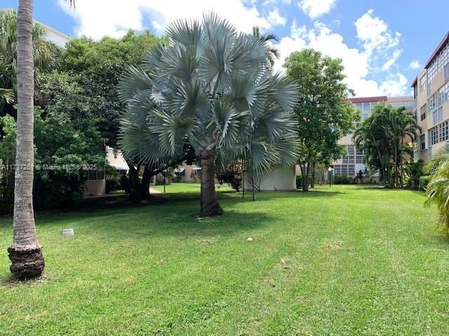 1333 E Hallandale Beach Blvd Unit 131, Hallandale Beach, FL 33009 - view of yard
