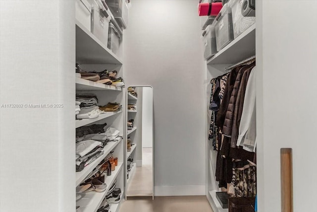 view of spacious closet