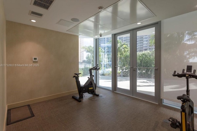 exercise room with expansive windows