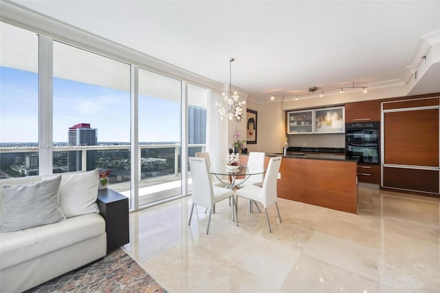 dining space featuring sink, rail lighting, floor to ceiling windows, ornamental molding, and a chandelier