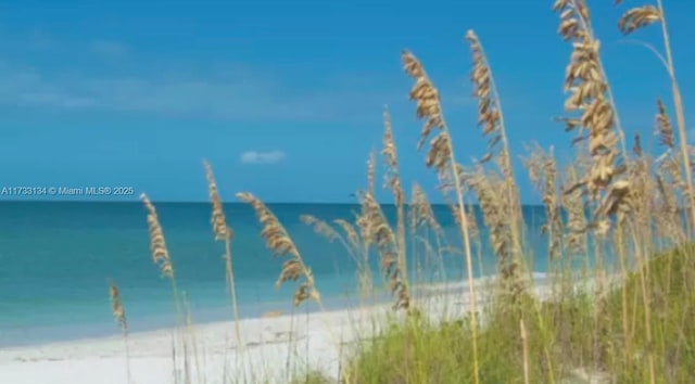 property view of water featuring a view of the beach