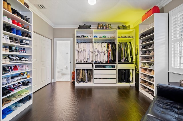 spacious closet with dark hardwood / wood-style floors