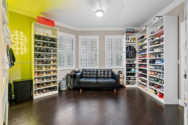 walk in closet featuring wood-type flooring and ceiling fan