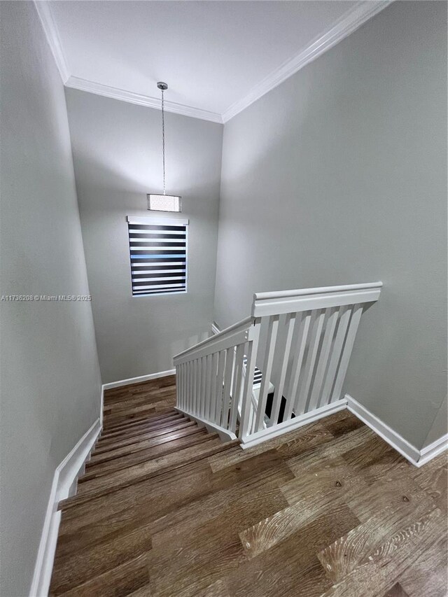 stairs featuring crown molding and hardwood / wood-style floors