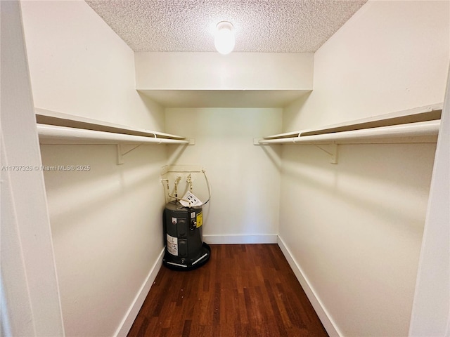 spacious closet with dark wood-type flooring