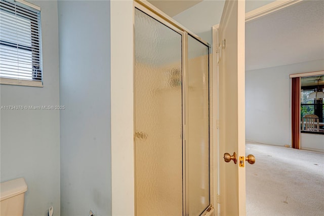 bathroom with toilet and an enclosed shower