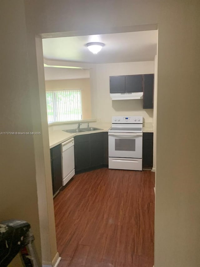 3437 NW 44th St Unit 102, Oakland Park, FL 33309 - kitchen with white appliances, under cabinet range hood, light countertops, dark wood-style flooring, and a sink