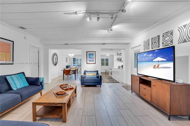 living room featuring crown molding and track lighting