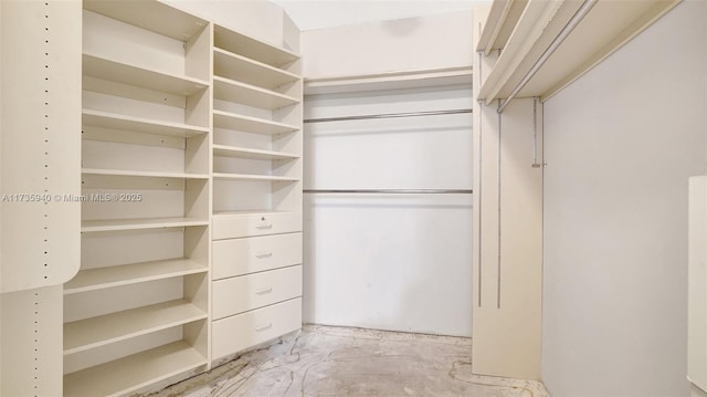 view of walk in closet