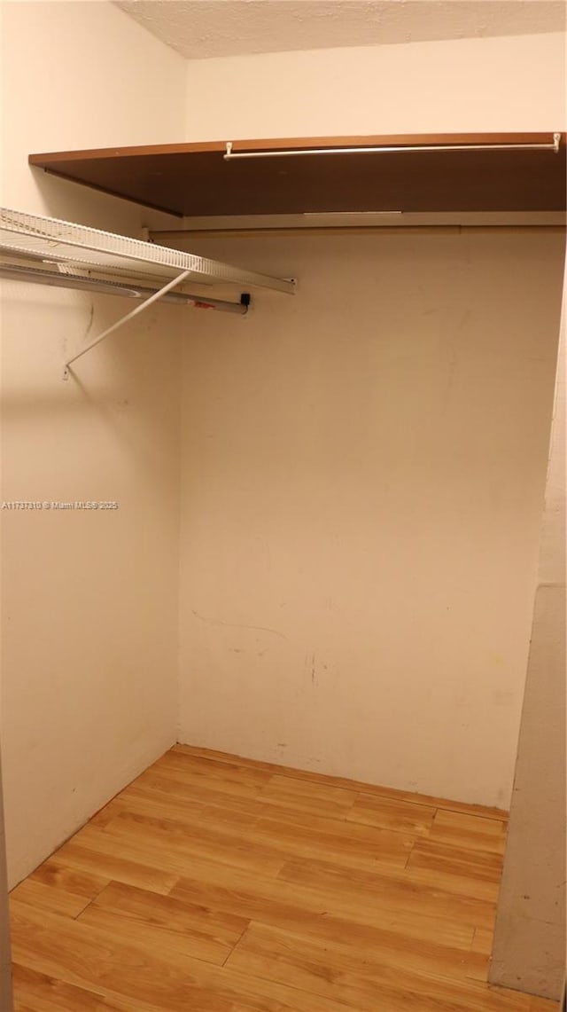 walk in closet with light hardwood / wood-style floors