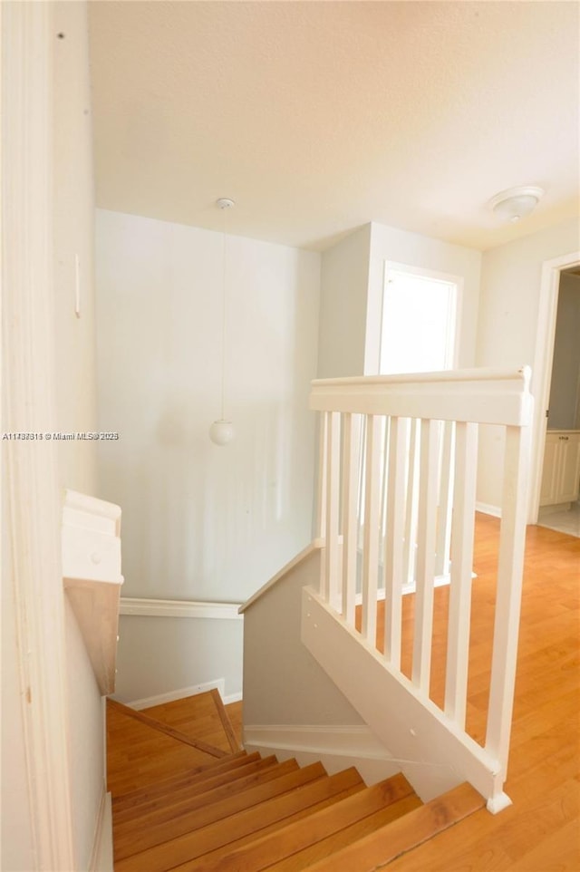 stairs with hardwood / wood-style floors