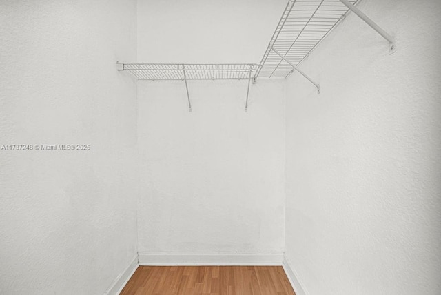 spacious closet featuring hardwood / wood-style flooring