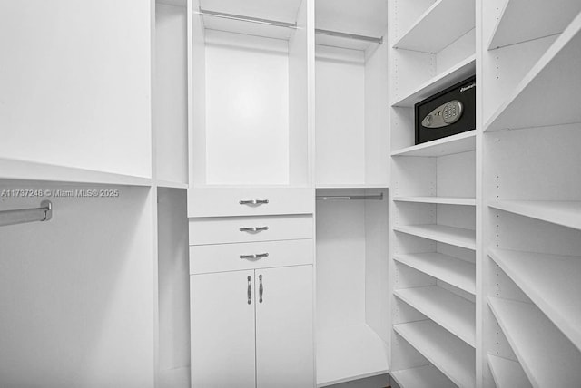 view of spacious closet