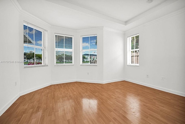 empty room featuring ornamental molding and hardwood / wood-style floors