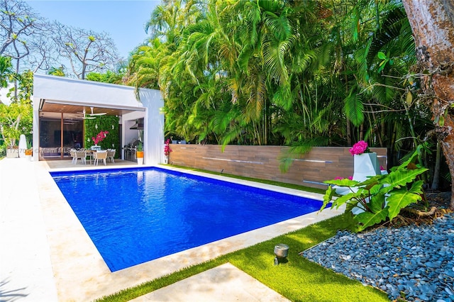 view of pool featuring a patio and ceiling fan