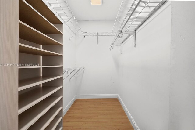 walk in closet featuring light hardwood / wood-style floors