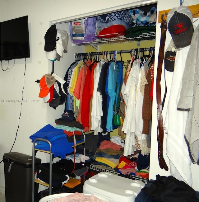 view of closet