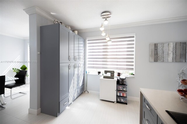 kitchen featuring gray cabinets and crown molding