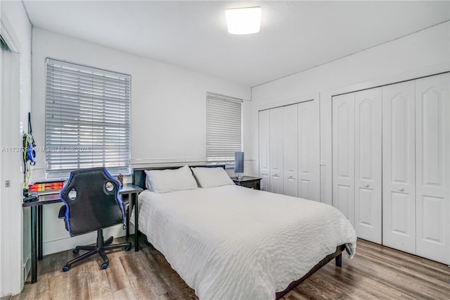 bedroom with wood finished floors and multiple closets