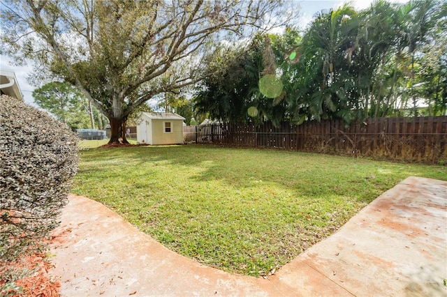 view of yard with a storage unit